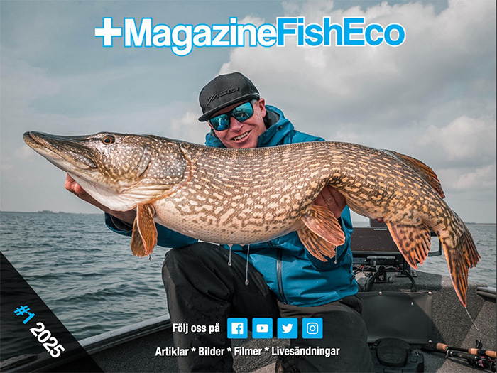 +MagazineFishEco #1 2025
