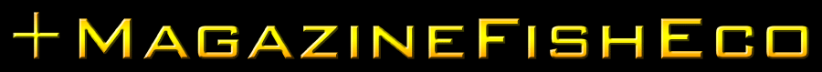 +MagazineFishEco