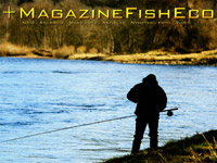 +MagazineFishEco #2 2012