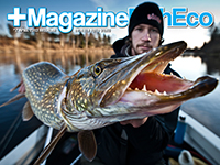 +MagazineFishEco #2 2013