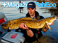 +MagazineFishEco #3 2013