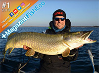 +MagazineFishEco #1 2019